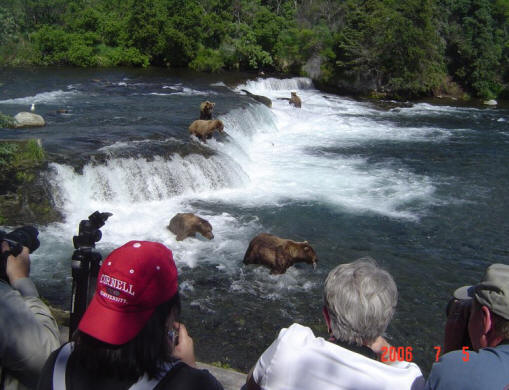 Brooks falls on the world famous Brooks river in Katmai National Park, Katmailand