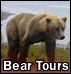 Bear Viewing Tours
