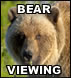 Bear Tours