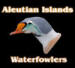 Alaska Duck Hunting